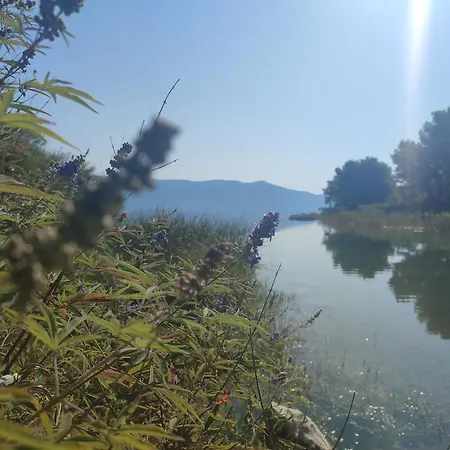 Apartament Mobile Vita *
